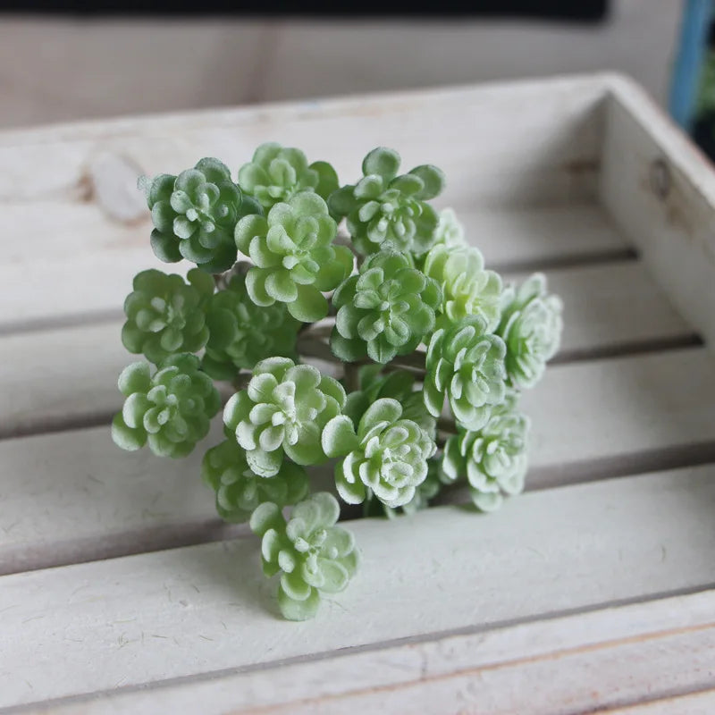 1 PCS Mini cactus bonsai landscape