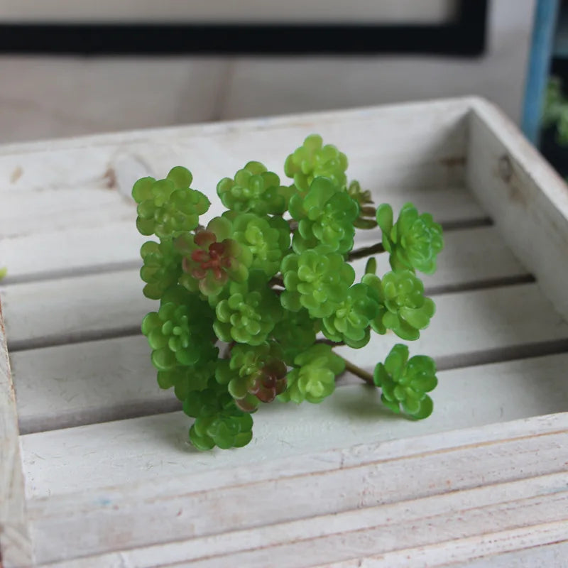 1 PCS Mini cactus bonsai landscape