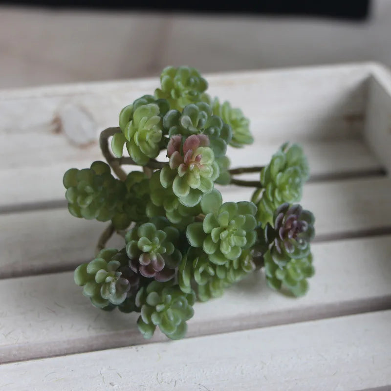 1 PCS Mini cactus bonsai landscape