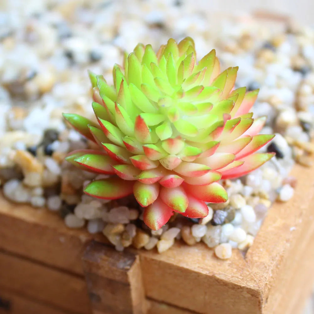 Artificial Succulent PVC Mini Grass
