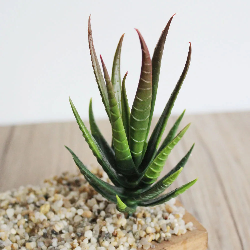 Artificial Succulent PVC Mini Grass