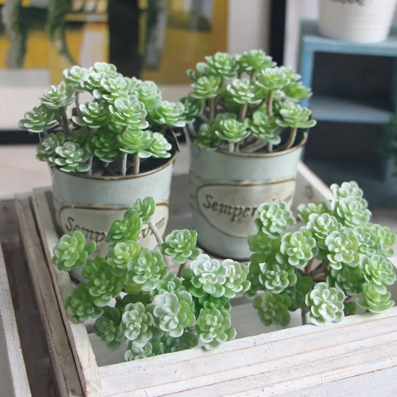 1 PCS Mini cactus bonsai landscape