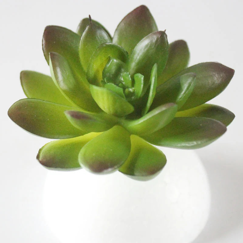 Artificial Succulent  PVC Mini Grass